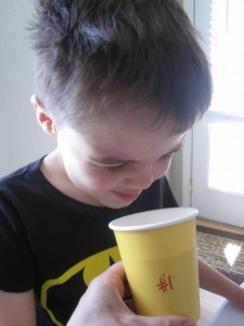 IMG_1864-e1405227051516-455x607