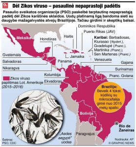zikos virusas