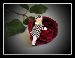 391347963_491cc477be_z