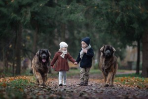 bulve 4
