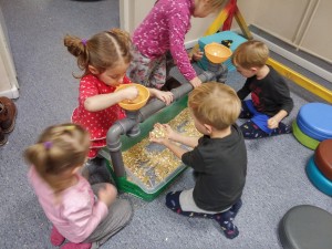 20170124_185658_HDR[1]